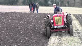 preview picture of video 'David Brown 950 Tractor Ploughing December 2014'