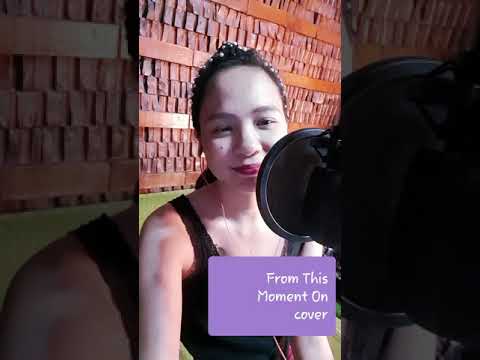 From This Moment On - cover by Zurca