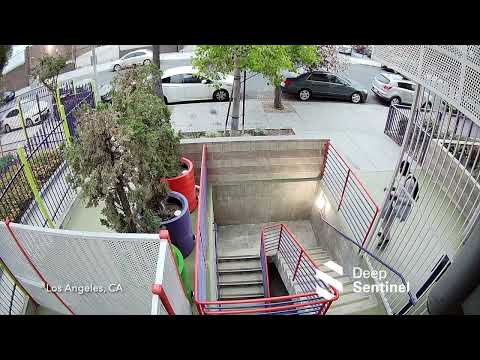 Deep Sentinel - Real-time Security for Businesses and Residential