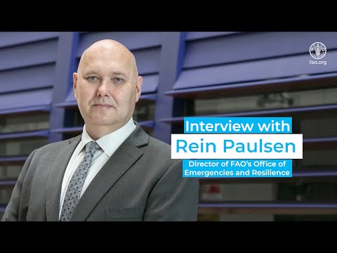 Famine is imminent in Gaza Strip - Interview with Rein Paulsen