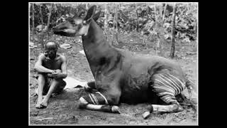 Download lagu 9ème et dernier partie du témoignage du Pasteur Paul kalumba ex sataniste. mp3