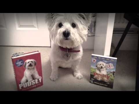 Dog tricks-canine freestyle