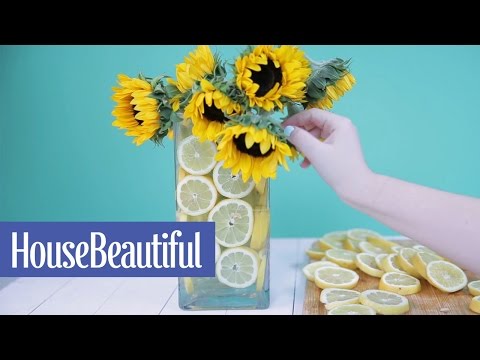 download lagu mp3 mp4 Lemon Vase, download lagu Lemon Vase gratis, unduh video klip Lemon Vase