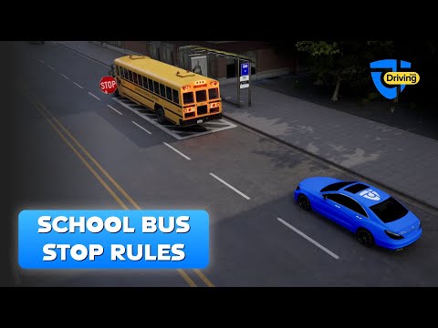 Stop For School Buses