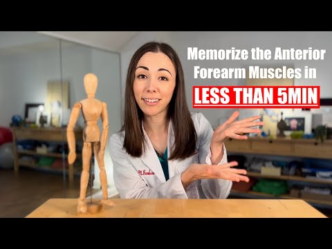 How to Memorize the Anterior Forearm Muscles in less than 5 min | Anatomy Tips | Dr. Kumiko