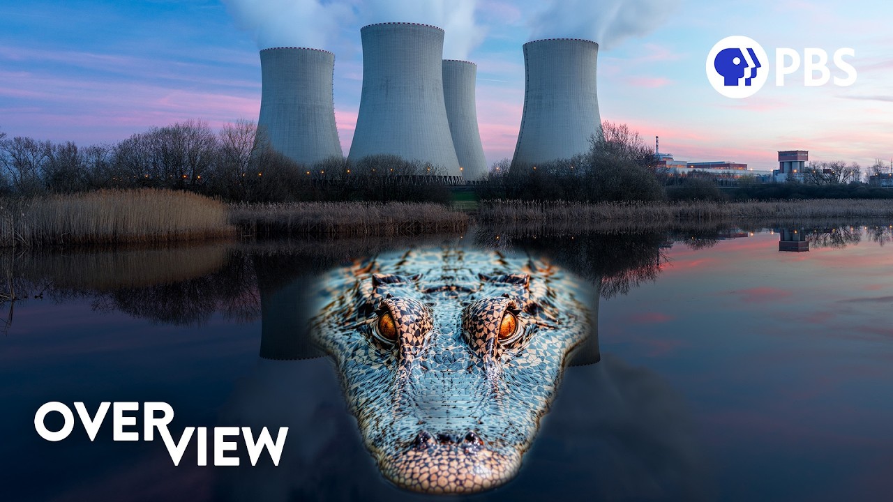 Why Crocodiles Are Thriving in the Shadow of A Nuclear Plant