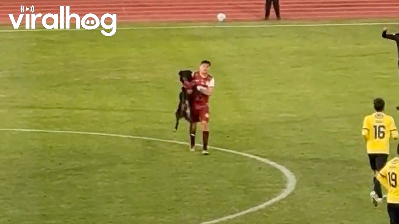 Dog Runs Onto Field During Soccer Match in Chile || ViralHog