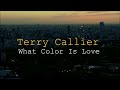 Terry Callier - What Color Is Love