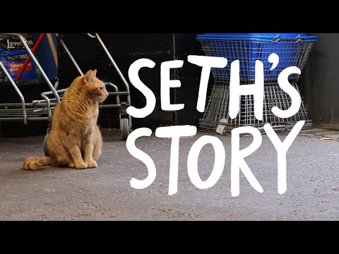 Employee of the month: Seth the garden centre cat