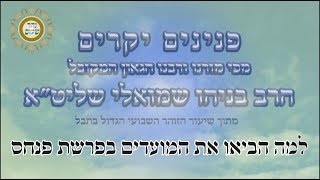 למה הביאו את המועדים בפרשת פנחס