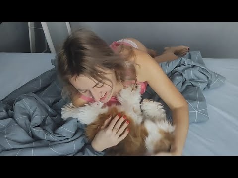 morning routine, my pet keeps me awake. cleaning the shelves