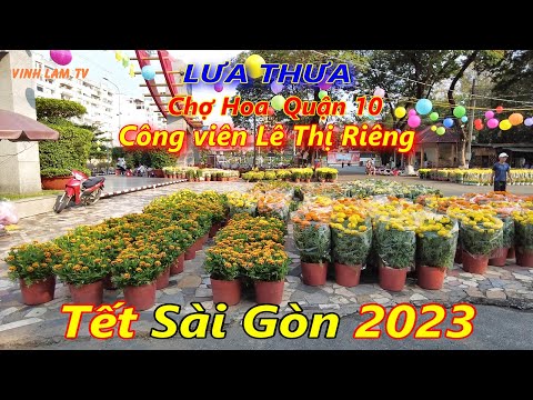 Chợ Hoa Công Viên Lê Thị Riêng Quận 10 Sài Gòn (Chậu Mai 350k trả giá 300k)