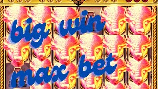 💰 Big Win Alert! Buffalo Toro Bonus & Free Spins #slotmachine #gambling #casino #