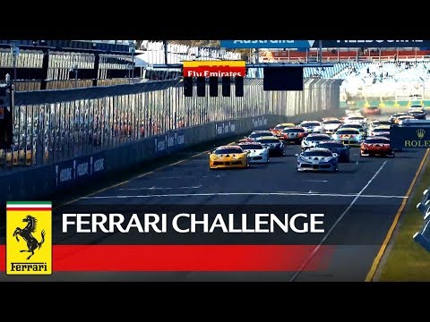 Ferrari Challenge APAC - Melbourne 2018, Trofeo Pirelli Race 2