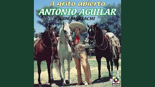 Palomas que Andan Volando