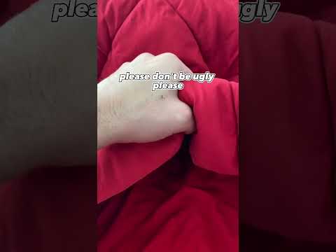 Le chien panda le plus mignon