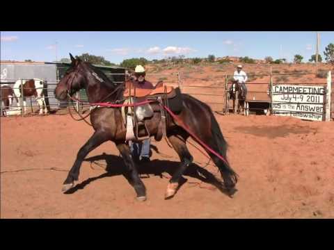 Wild Mustang Challenge Week 8 Extreme Mustang Makeover 2017 (Pt. 9 of 14)