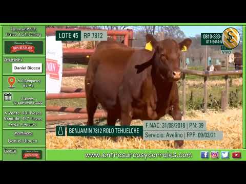 10-09-20 - Remate de Cabaña Don Benjamín - Consignataria Daniel Biocca - Saldungaray (Bs.As.)