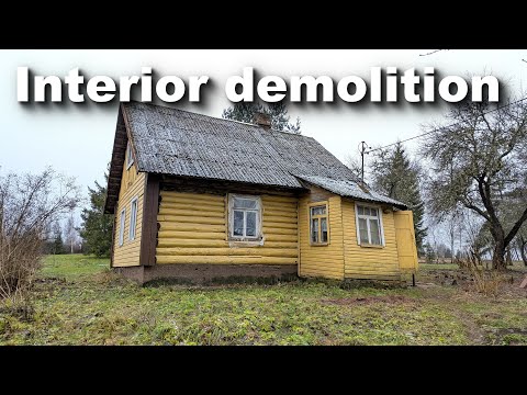 I Bought a 100-year-old Log House and Stripped it to the Bones (Log House Ep. 5)