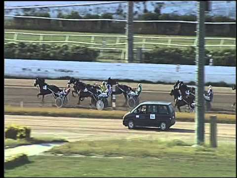 Trotto 04/06/2015 - 6° corsa