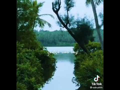 ♥♥♥♥♥🖤(1)