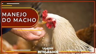 Miniatura do vídeo
