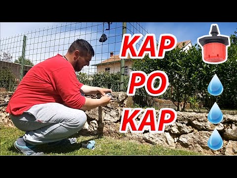Postavljanje jednostavnog sistema navodnjavanja''kap na kap''-Simple drip irrigation setup at garden