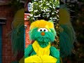 Feliz Navidad ️ Sesamestreet
