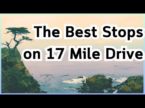 The Most Scenic Points of 17 Mile Drive! #travelvlog #travel #traveling
