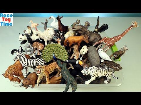 Huge Toy Zoo Wild Animals Collection - Learn Animal Names For Kids