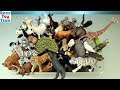 Huge Toy Zoo Wild Animals Collection - Learn Animal Names For Kids
