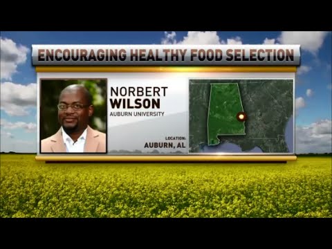 download lagu mp3 mp4 Norbert Wilson, download lagu Norbert Wilson gratis, unduh video klip Norbert Wilson