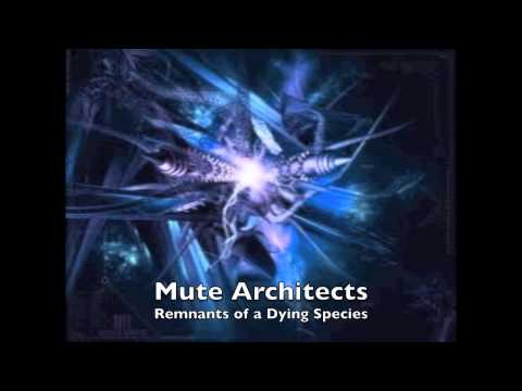 Mute Architects- Remnants of a Dying Species