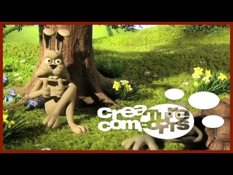 Winning and Losing | Creature Comforts