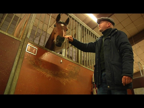 Aufgalopp am 1. Mai auf der Rennbahn München beim Bavarian Classic-Rennen