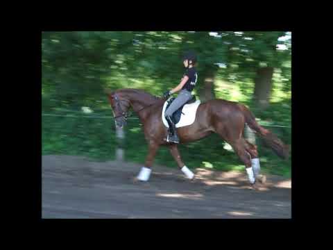 Fantasie 5j. St. v. Farbenspiel - Fürst Piccolo VB 8.500,- Euro