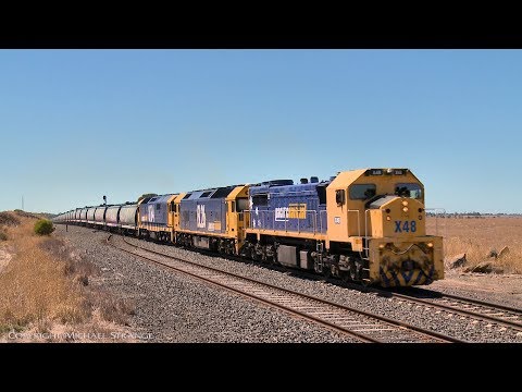 X48 Leading Pacific National Grain Train 7725V - PoathTV Australian Railways