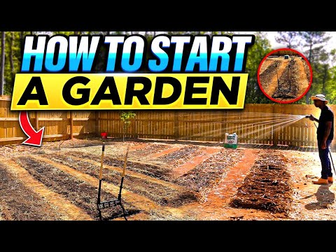 Start a Garden | Step-by-Step | Gardening Tips