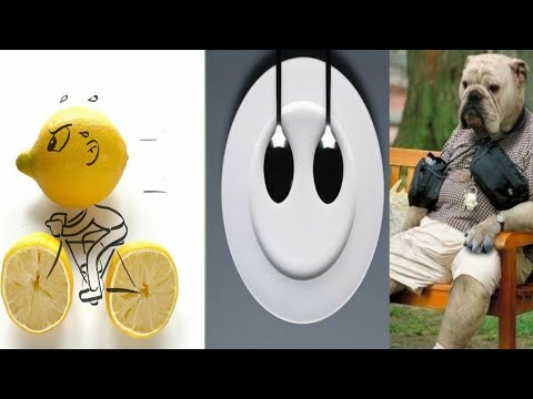  Funny photos to put on your WhatsApp profile