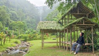 Survival in the Wild: Building a Bamboo House in the Deep Forest | I’m Lily