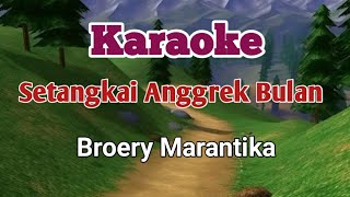 Download lagu Karaoke Setangkai Anggrek Bulan - Broery Marantika mp3 Download lagu Karaoke Setangkai Anggrek Bulan - Broery Marantika mp3