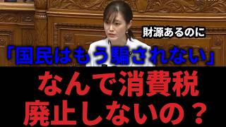 【国会切り抜き】消費税廃止なぜできない？参政党が政府の矛盾を指摘【参政党 さや】