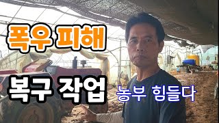 폭우 피해 복구 1일차! 농사 힘들다