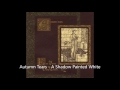 Autumn Tears -  A Shadow Painted White