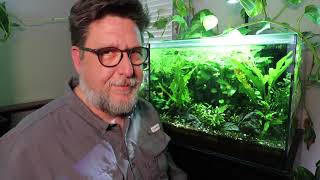 The Fish Tank Shuffle: Fighting Stocking Complacency