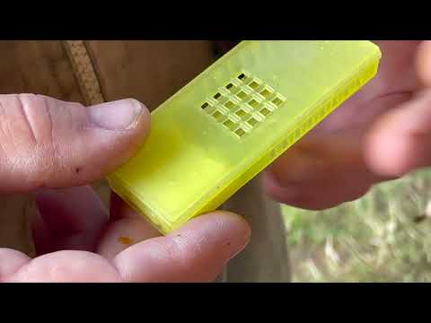 Königinnen zeichnen & MiniPlus Einheiten egalisieren