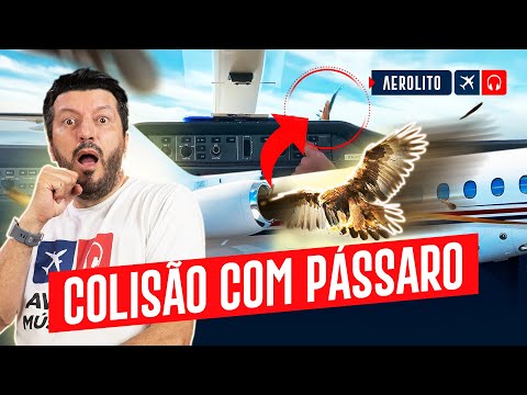 Colidiu Com Pássaro na Decolagem | EP. 910