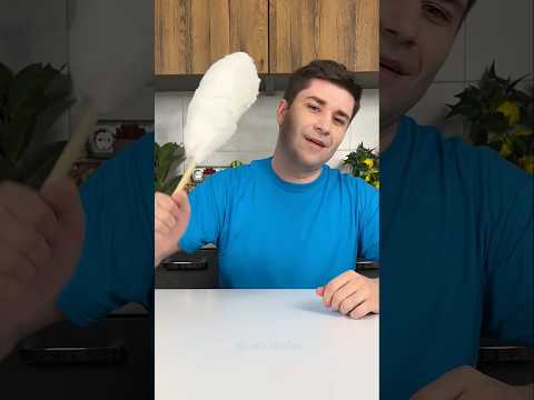 Oh no🧑‍💼😹#shorts  #cats