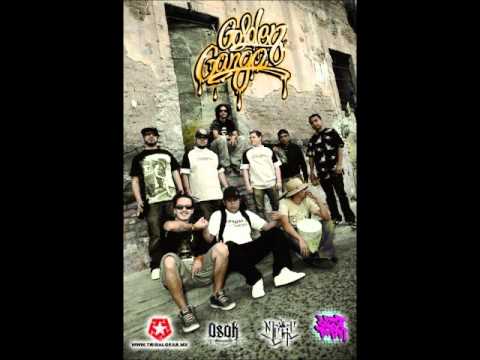 Golden Ganga - Tú  (Musica Libre 2011)