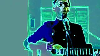 Magnetic Fields - Two characters Cover